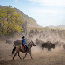 Participant of the Buffalo Roundup an Arts Festival in Custer State Park of South Dakota