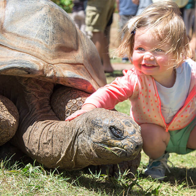 Child petting a tortoise at the Reptile Gardens in Colonial Pine Hills, South Dakota
